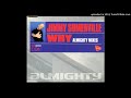 Miniature de la vidéo de la chanson Why (Almighty 2000 Mix)