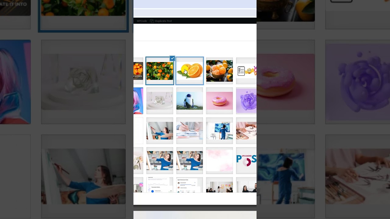 How to Add Stunning Photo Galleries with Kadence Blocks! 