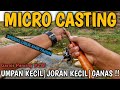 Micro casting dengan joran  umpan super kecilmusim kemarau masih panjang wajib punya umpan ini