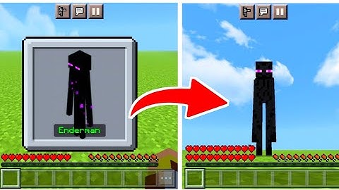 Morph Mod Minecraft PE 1.19