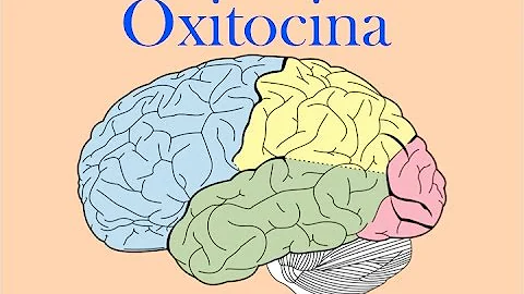 ¿Qué es la oxitocina y dónde se encuentra?