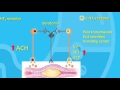 Prokinetic Drugs