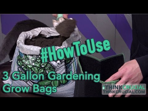 How to Use Your 3 Gallon Plant Grow Bag