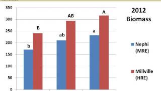 Performance of bluebunch and Snake River wheatgrass populations in the eastern Great Basin