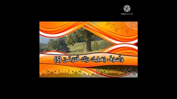🌹سورة الضحى بصوت جميل راحة النفس 🌹 فيديو قصير حالات واتس اب دينية 🌹☘️