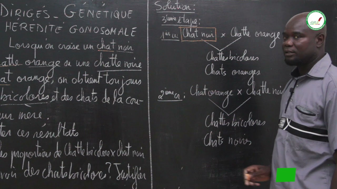 Exercices - Terminales S - SVT : Génétique Hérédité Gonosomale / M. Gnasse