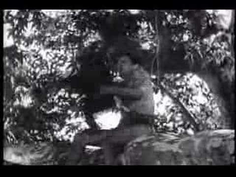 Tarzan spanks his monkey