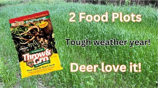 Harvest Evolved Throw & Gro Food Plot Mix - Deer seem to love it!