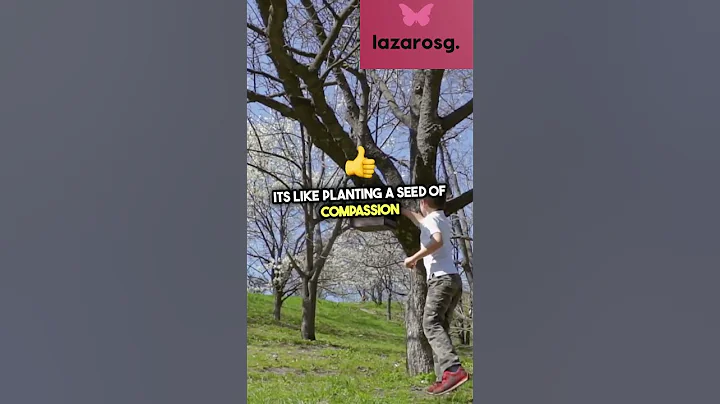 Spreading Kindness - The Ripple Effect Story