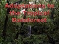 Explore the Rainforest!  Ecology for Kids - YouTube