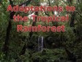 Rainforest Adaptations Quiz