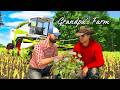WHY IS COTTON IN OUR CORN?! Will This Hurt Our Yield?