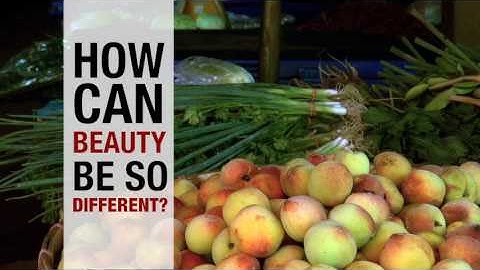 Introducing WorldView