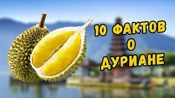 10 Фактов о Дуриане, о которых вы не знали!