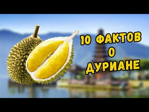 Wideo: Jakim Owocem Jest Durian?