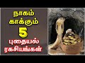 நாகம் காக்கும் 5 புதையல் ரகசியங்கள் | Marmangal | Bioscope