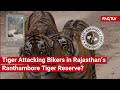 FACT CHECK: Viral Video Shows Tiger Attacking Bikers in Rajasthan’s Ranthambore Tiger Reserve?