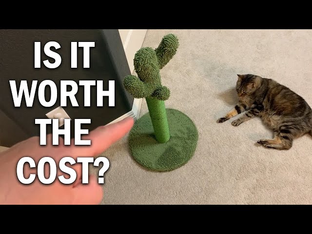 Made4Pets Cat Scratching Post Review - Is It Worth The Cost? - YouTube