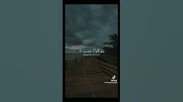 سورة يونس للقارئ عبدالرحمن مسعد ✨🦋اكتب شيء تؤجر عليه 💓