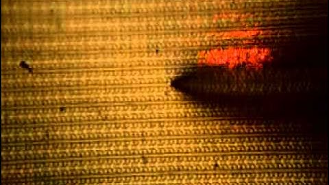 Reflection NSOM - Leading NSOM Technology