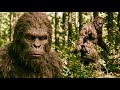 Ref:6ZuZY4gmQpg The new clearest bigfoot footage was just released! 