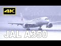 [4K] Snow scene - JAL Airbus A350 (Special Livery and Normal) at New Chitose Airport / 新千歳空港 日本航空