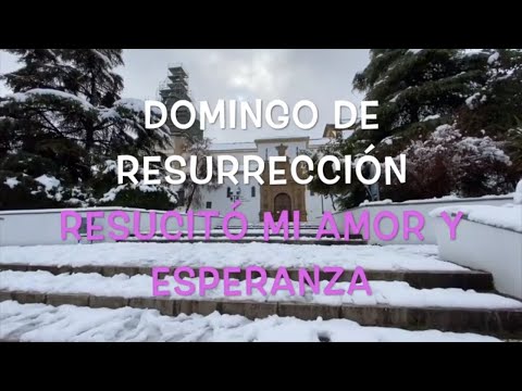✅ DOMINGO DE RESURRECCIÓN - Resucitó mi amor | CAMINO DE SEMANA SANTA PADRE GUILLERMO SERRA