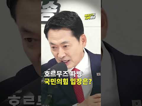 호르무즈 파병 국민의힘 입장은?