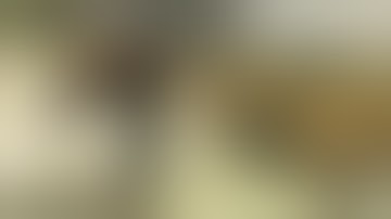 PROTOTYPE 2 (PC) - Brutal Rampage & Epic Ragdoll Kills - 4K 60FPS