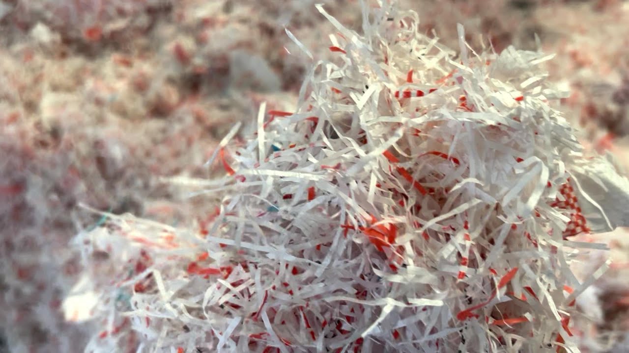 Film Compacting Pelletizing Line in Action