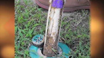 Sentricon Colony Elmination System - Understanding The Technology