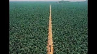 সদ আরবর মনষর এমন কলজও আছপথবর সবচয বড খজর বগন আললহর রসতয দন কর দলন