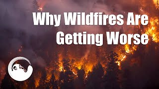 Why wildfires are getting worse in the U.S.