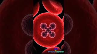Dark Urine &amp; Crushing Fatigue? Could Be Babesia ⚠️ #shorts