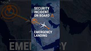 Dubai to Tel Aviv: Why Flight FZ1073 Diverted ✈️ #Shorts