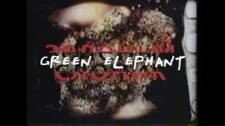 Green Elephant (the friends cover)