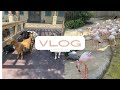 Fort Worth Zoo / Acompáñanos al zoológico animales #zoo