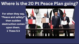 Куда движется мирный план Трампа из 20 пунктов?