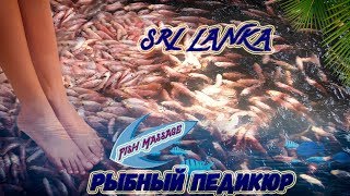 Шри Ланка.Речное сафари #4.Рыбный пиллинг.#SriLanka
