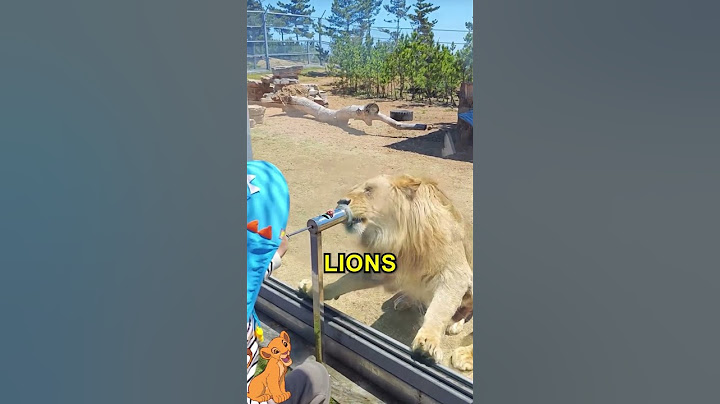 Amazing Zoo Experience For Kids 😍