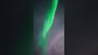 when the aurora suddenly exploded #alaska #aurora