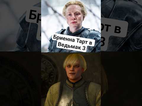 ТАКОЙ ОТСЫЛКИ ТЫ НЕ ВИДЕЛ! Бриенна Тарт в Ведьмак 3!