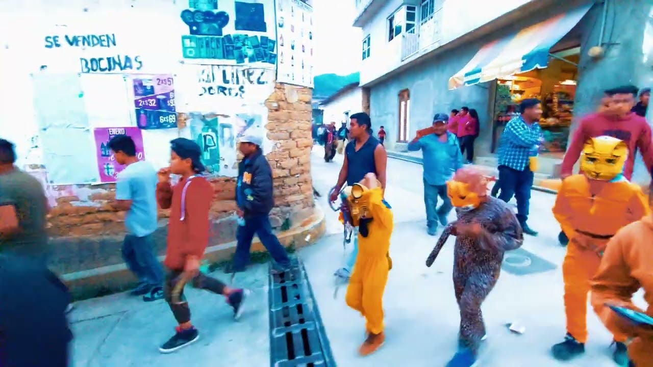 𝗘𝗡 𝗕𝗨𝗦𝗖𝗔 𝗗𝗘𝗟 𝗧𝗜𝗚𝗥𝗘 𝗬 𝗦𝗔𝗕𝗔𝗗𝗢 𝗗𝗘 𝗖𝗔𝗥𝗡𝗔𝗩𝗔𝗟 / 𝐂𝐀𝐑𝐍𝐀𝐕𝐀𝐋 𝟐𝟎𝟐𝟐 / 𝐂𝐎𝐈𝐂𝐎𝐘𝐀́𝐍 𝐃𝐄 𝐋𝐀𝐒 𝐅𝐋𝐎𝐑𝐄𝐒 𝐎𝐀𝐗‧