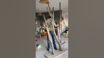 When I saw the price of cat trees… #woodworking #cat #diy
