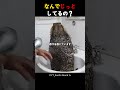 なんでじっとしてるの？