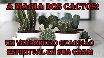 O que significa cacto na Bíblia?