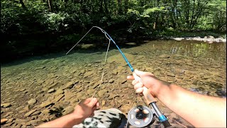 Trout and Crayfish Catch & Cook in a Clear Mountain Stream *ASMR*