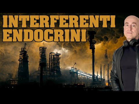 Video: Coal: applicazione e diversità