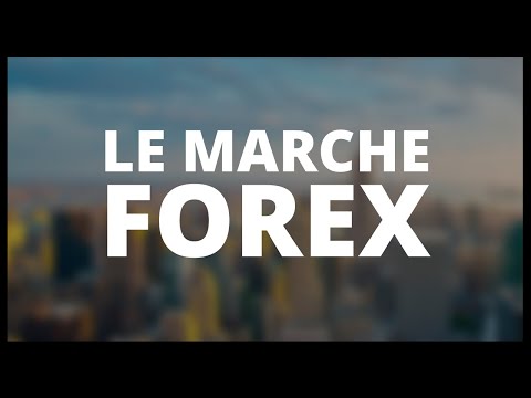 03 - Le Forex | Formation Débutant Trading