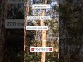Property ID 315 #sakleshpur #sakleshpurarealestate #realestate #buying #sale
